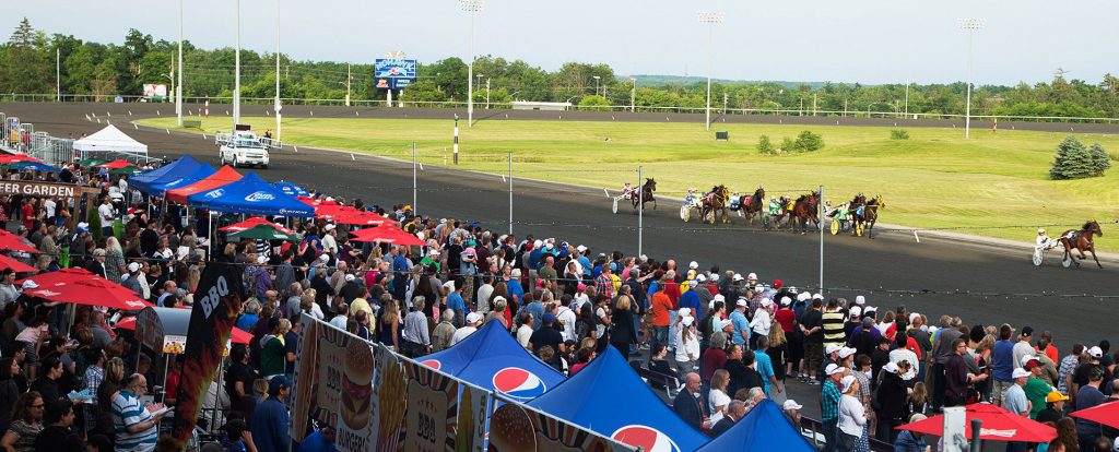 3 Year Old FIlly Trotters from Mohawk Racetrack in Campbellville, ON won by Oolong (Gary Goldstein’s Harness Horse Racing Treasured Moments)