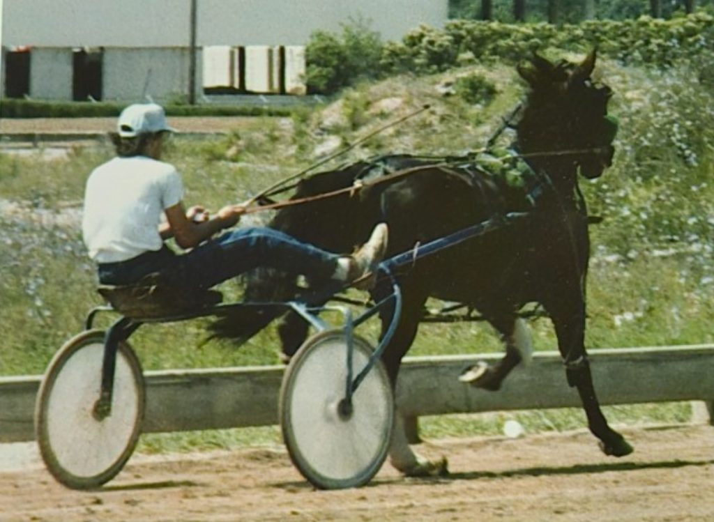 Gary Goldstein enjoying the Harness Racing