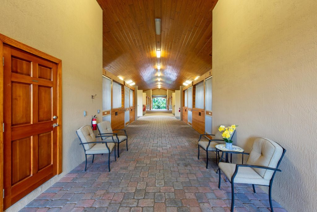 Full Circle Stables Timeless Beauty- Bridled Dreams: Where Horses and Humans Connect