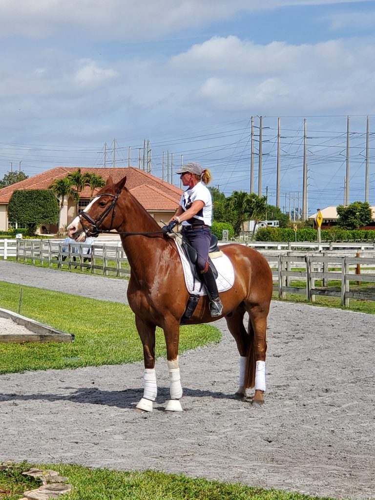 Gary Goldstein’s Farm- Full Circle Stables Wellington, Florida.